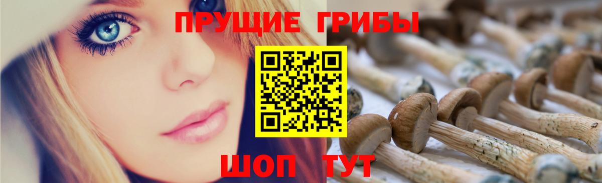 Псилоцибиновые грибы Cubensis  Вход с VPN  Псилоцибиновые грибы MAGIC MUSHROOMS  Звенигород 