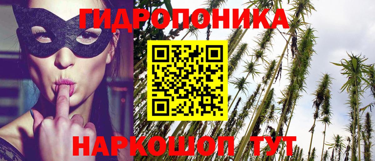 Бошки марихуана SATIVA & INDICA Звенигород